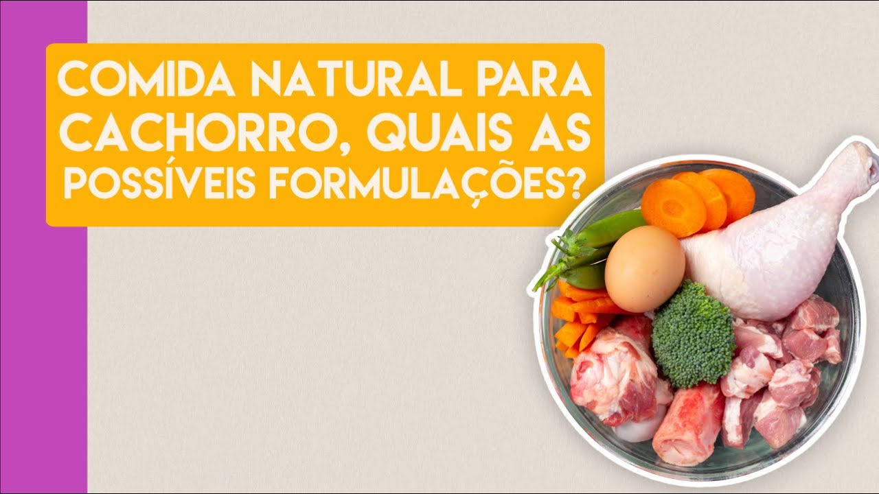 AULA: Comida natural para cachorro, quais as possíveis formulações?