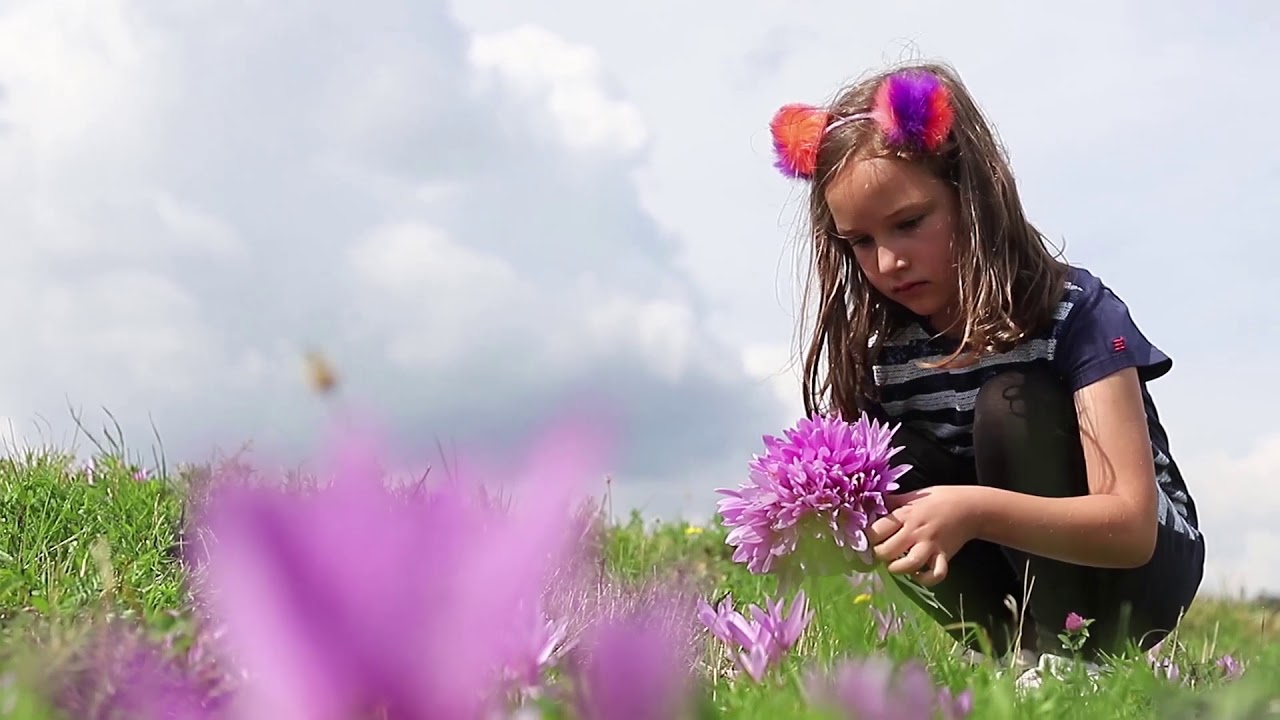 Park prirode Golija i Rezervat biosfere Golija Studenica