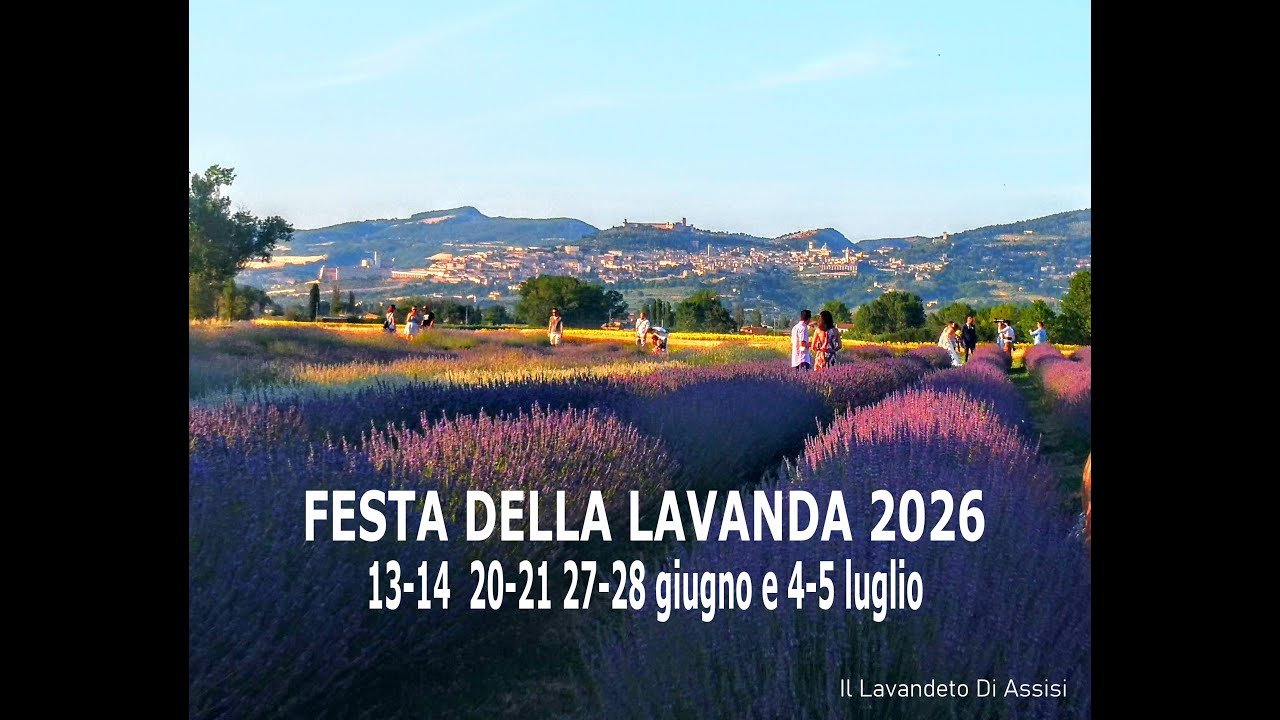 Festa della Lavanda, Campi di lavanda in Italia