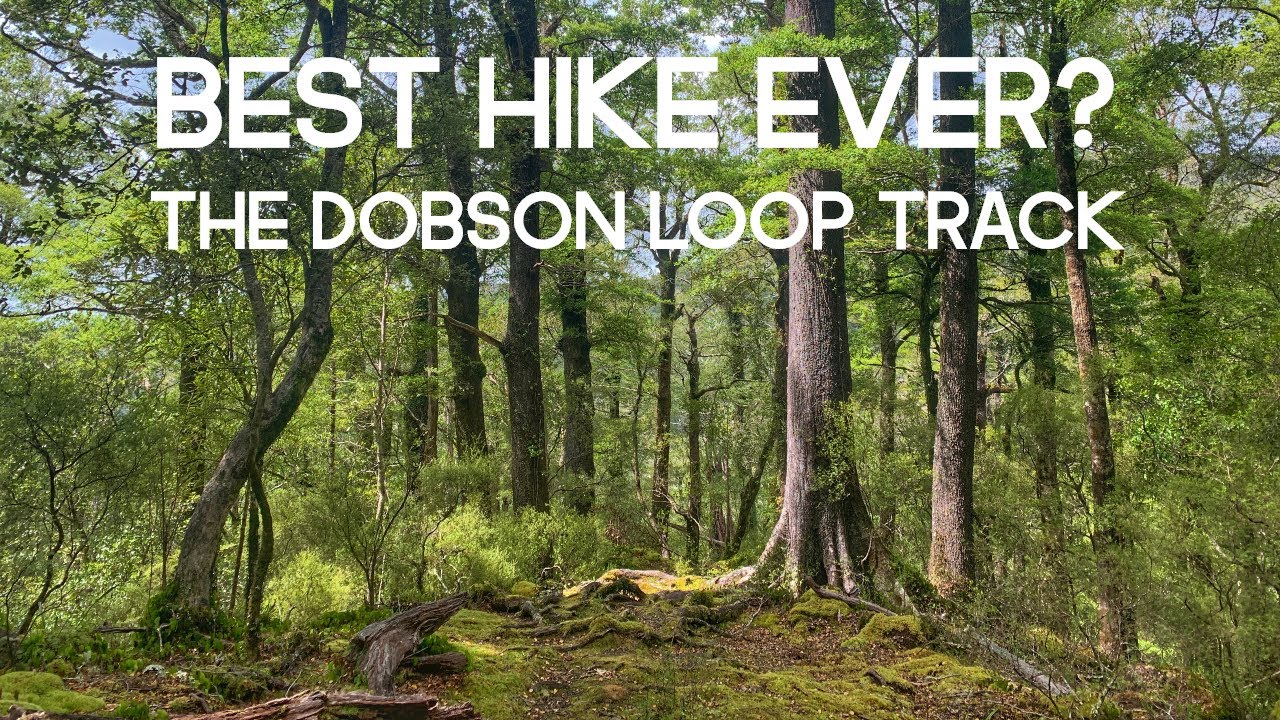 Hiking 17.5km on the Dobson Loop | Best Day Walk in Wellington?