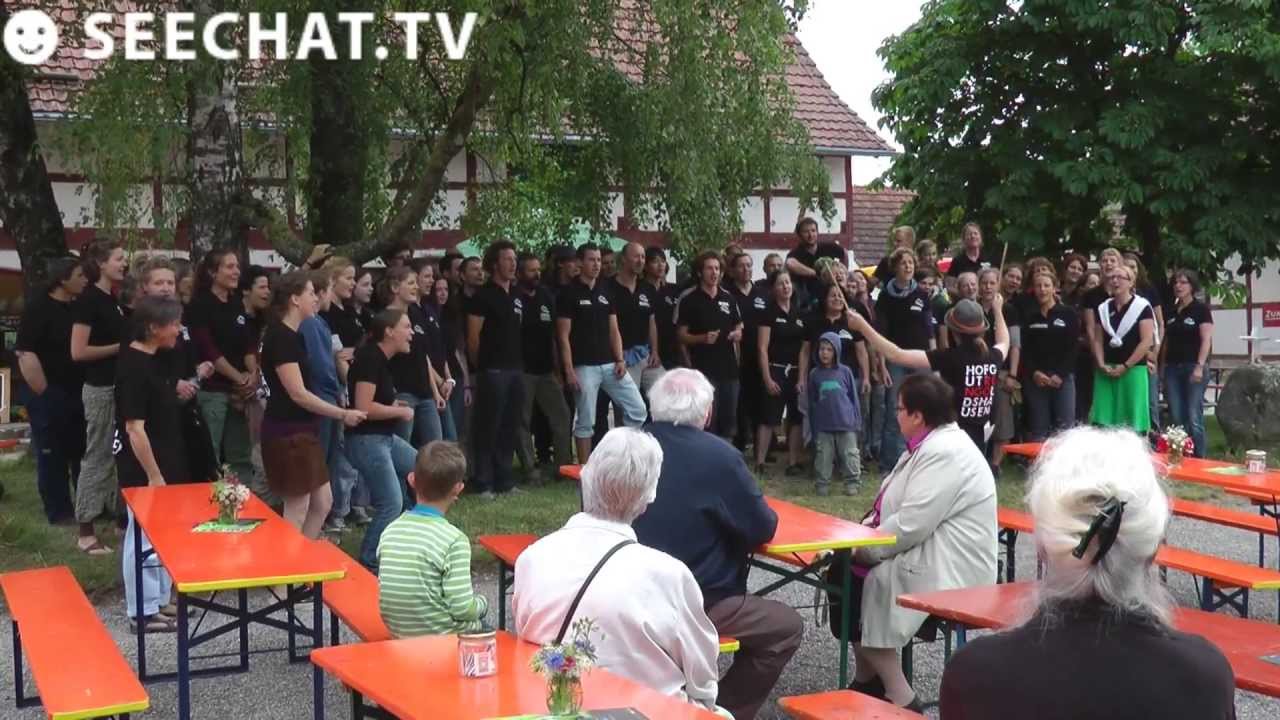 Hoffest auf dem Hofgut in Rengoldshausen am Bodensee, 23.06.2013