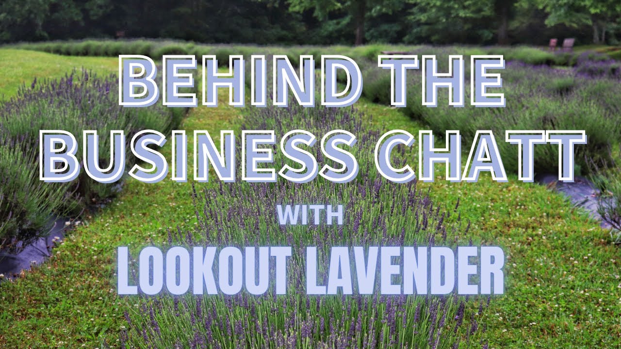 Behind the Business Chatt -Lookout Lavender