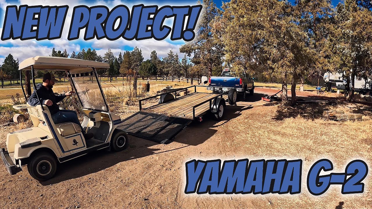 $300 Dollar Golf Cart! (How Bad Could It Be?)