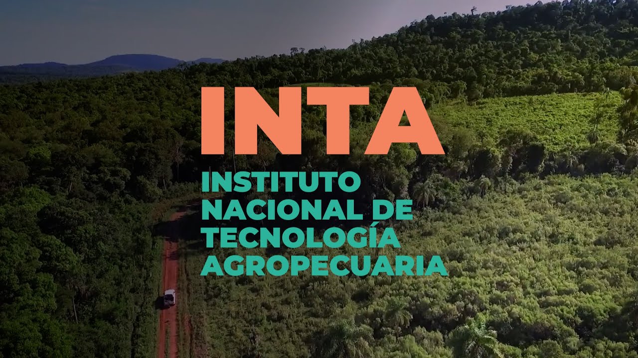 INTA - ¿Y ahora qué? Producciones sobre nuestro tiempo