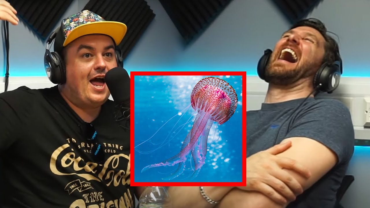 DAZ BLACK HILARIOUS KAYAK STORY - HIGHLIGHTS