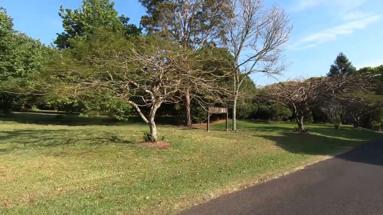 The macadamia farm market review, 2025