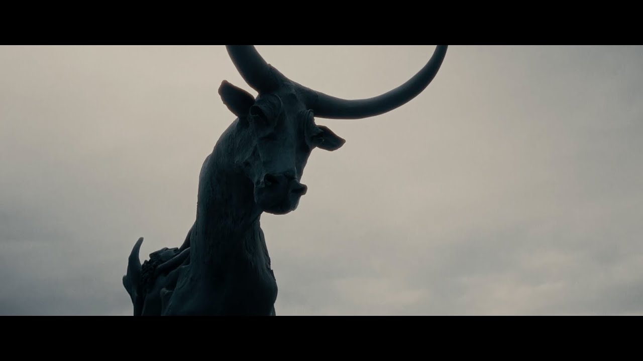 BMPCC OG + Laowa 7,5 + dehancer pro. Pocket Cinema Camera Original