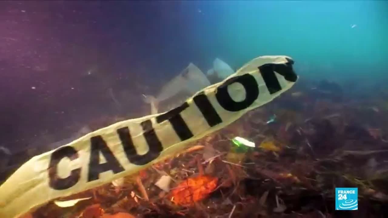 WWF: 'Contaminación por plástico: ¿de quién es la culpa?'