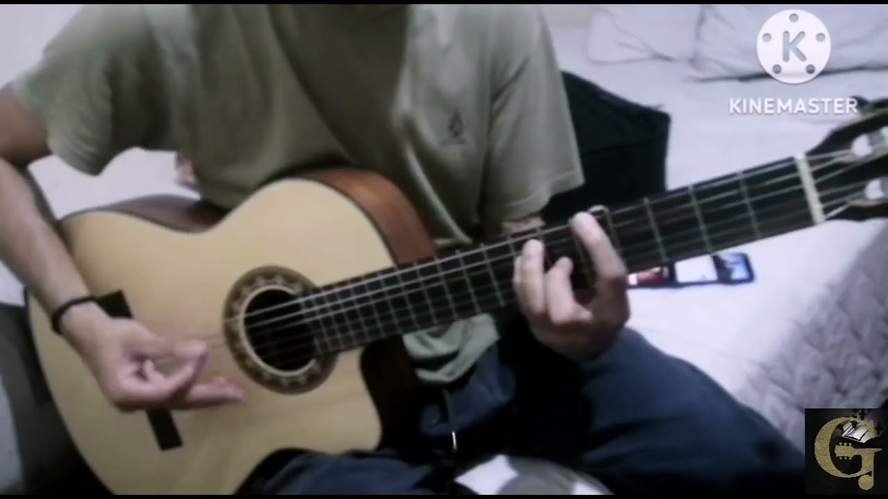Hayley Williams - Kill Me (Acoustic Guitar Cover). 