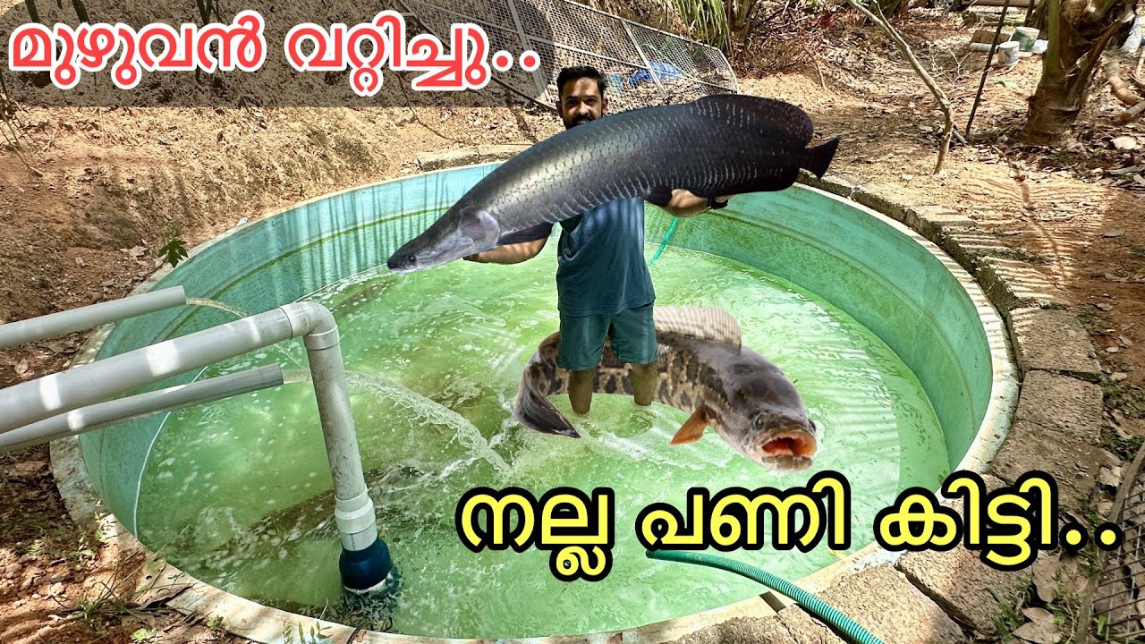 💥കുളം ഒന്ന് വറ്റിച്ചതാ നല്ല പണി കിട്ടി... | Installed 2000 liter filter DIY