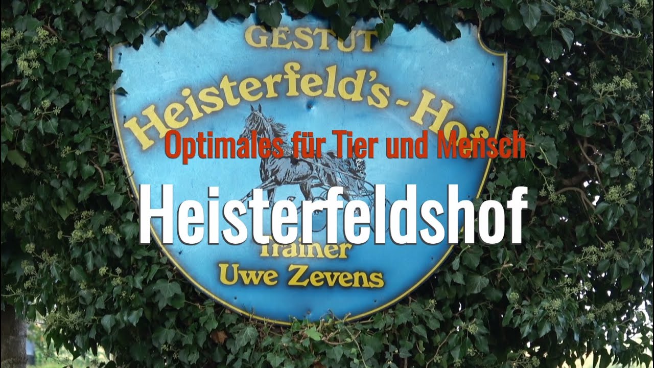 Heisterfeldshof – Optimales für Tier und Mensch