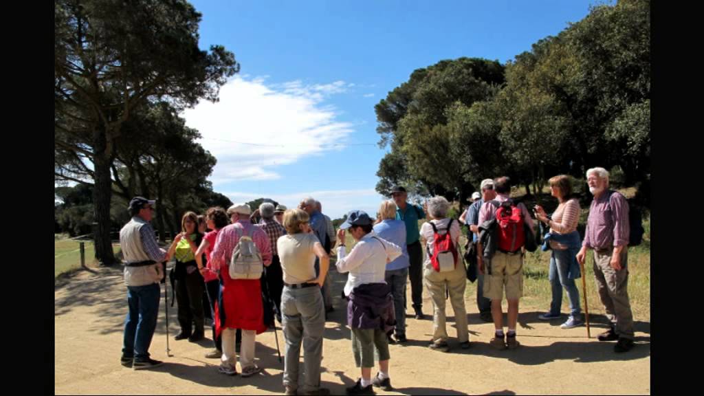 SORTIDA N  194 MARESME  TEIA  EL CORREDOR