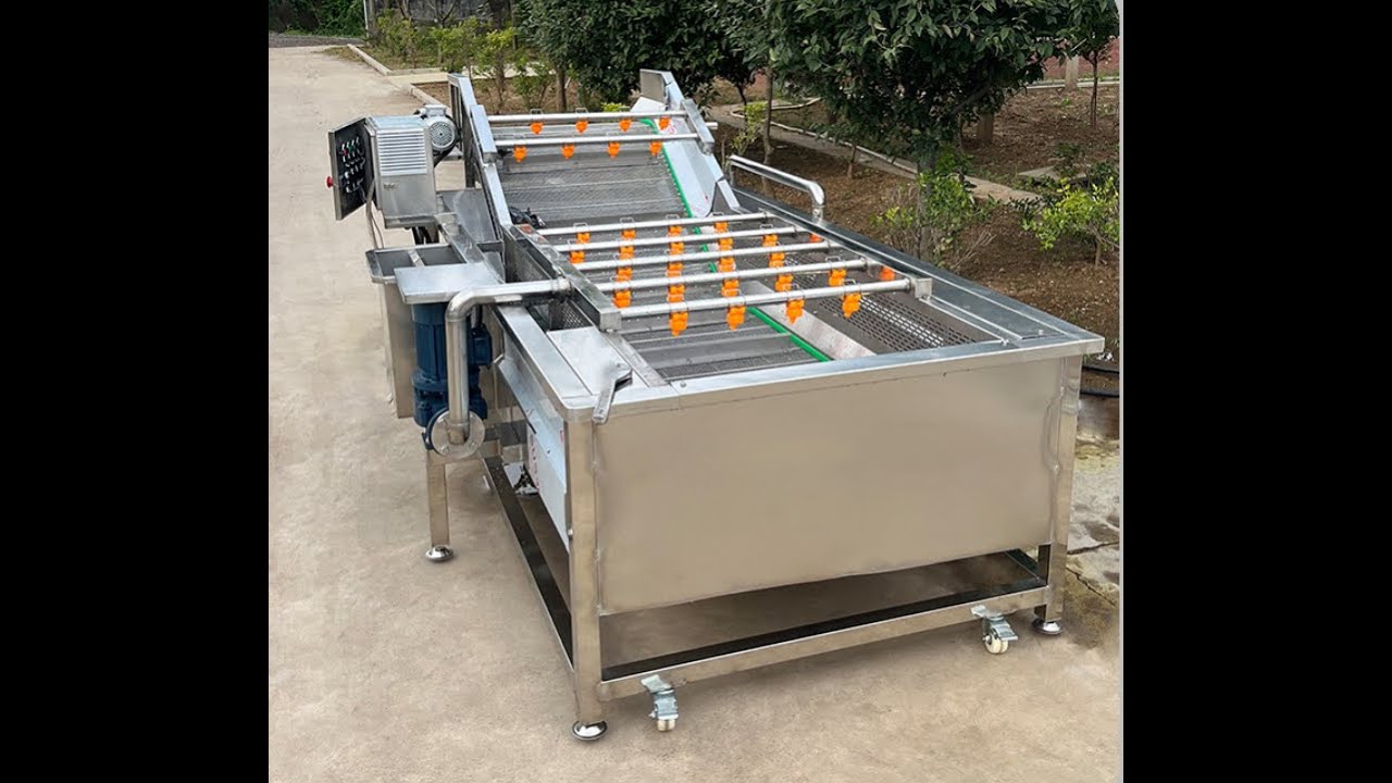 Best Fruit and Vegetable Washing Machine---Carrot Washer