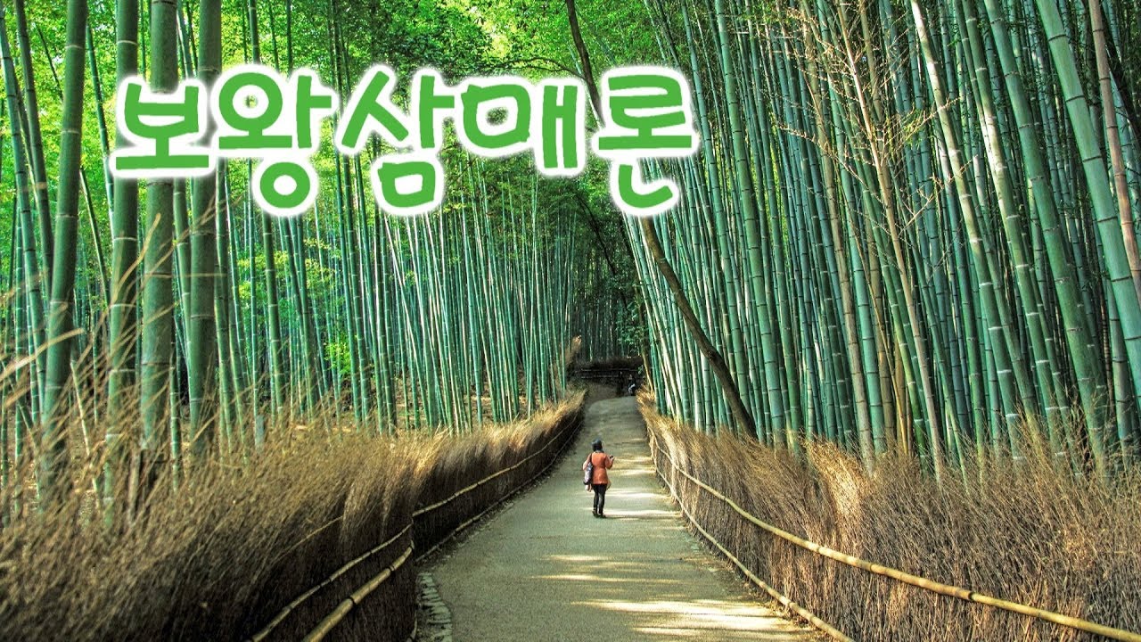 보왕삼매론 엄주환 낭송 / 경전에서 배우는 삶의 지혜