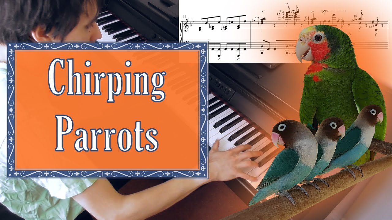 Chirping Parrots - Grand Cayman Suite No.2 (Smith)