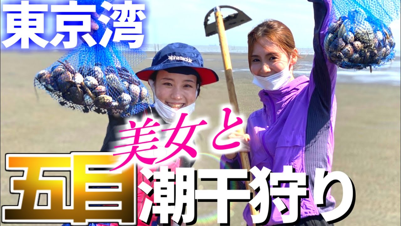 【潮干狩り】東京湾 女優と五目潮干狩りが楽しすぎた♪マテ貝 ハマグリ 蛤 ホンビノス 蟹【林遊船】【貝掘り】