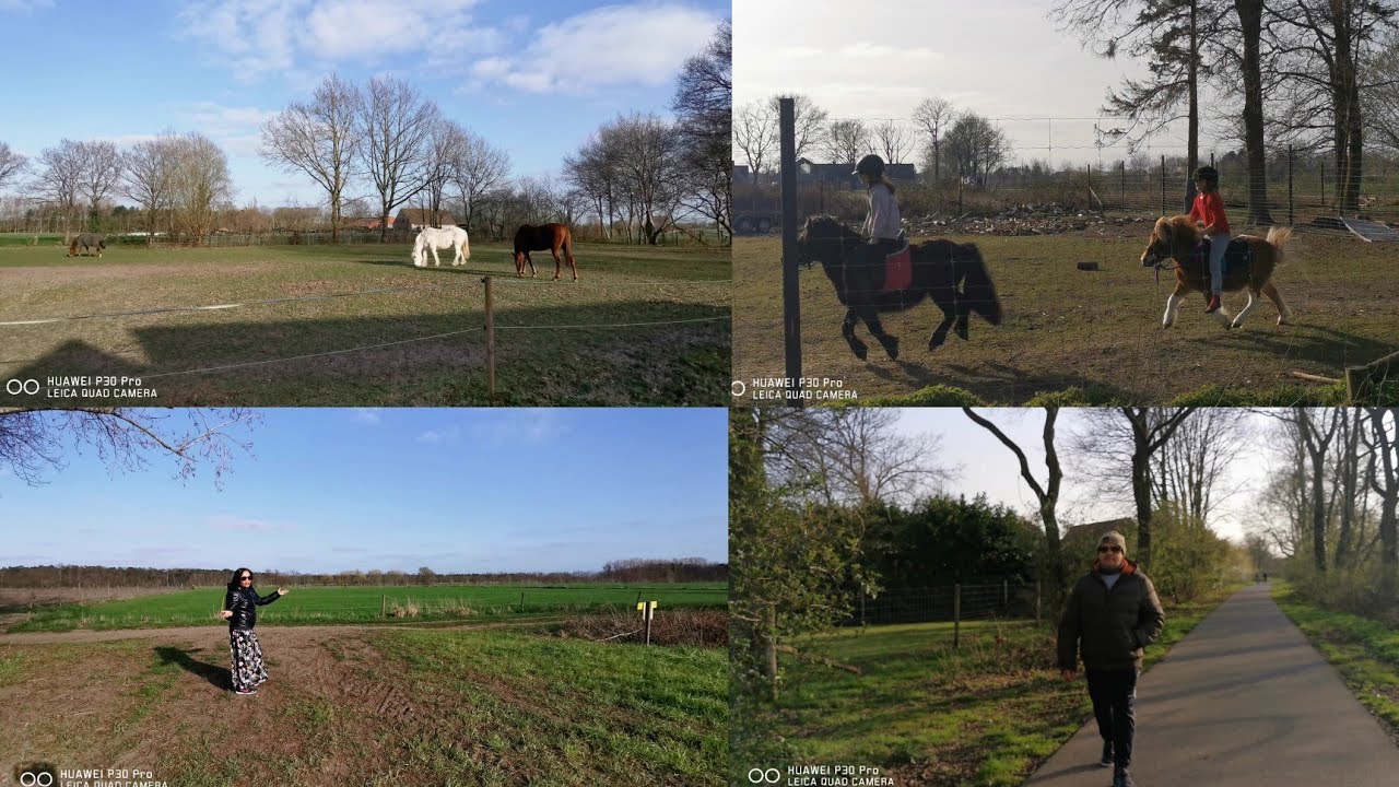 Spring walked