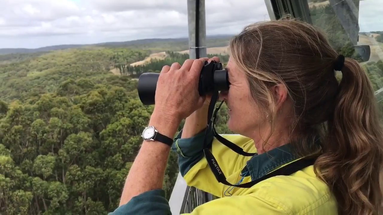 Fire Lookout Observer Liza at Peter's Hill Tower