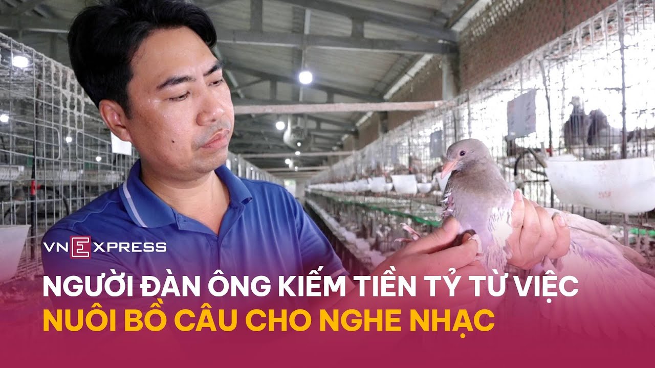Người đàn ông kiếm tiền tỷ từ việc nuôi chim bồ câu cho nghe nhạc | VnExpress