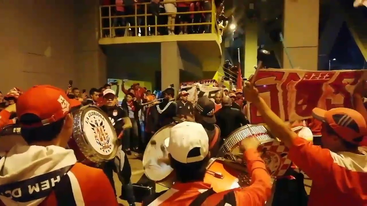 MUCHACHOS 🦁TRAIGAN VINO JUEGA SANTA FE 🎺🥁🔥