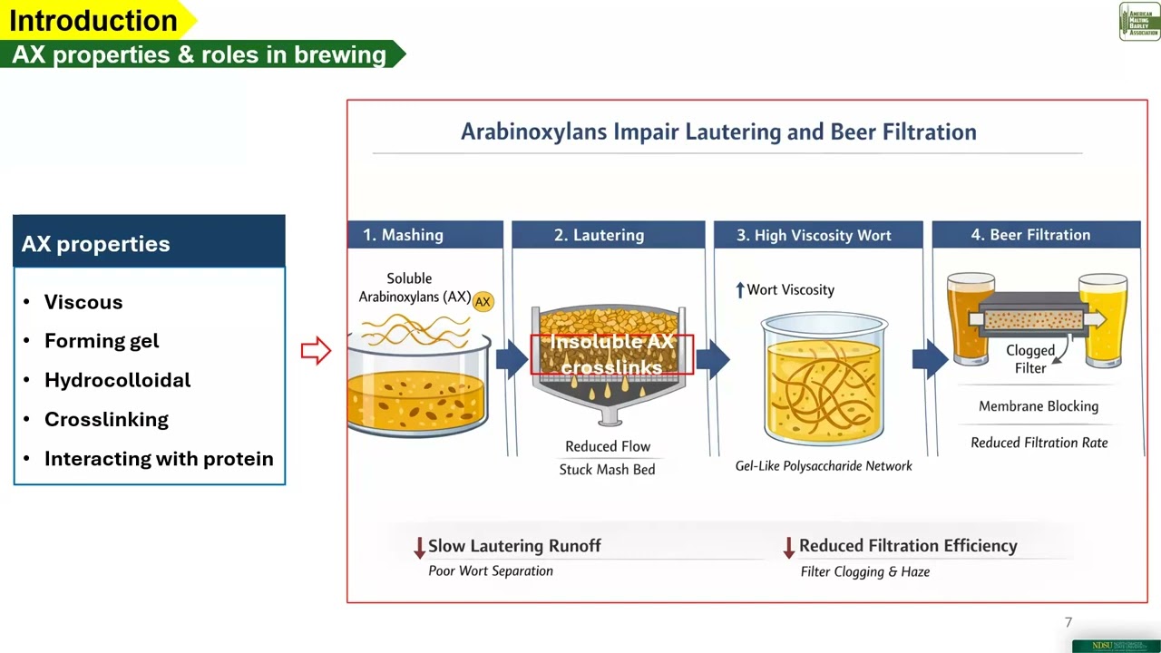 Characterization of polymeric arabinoxylans in wort and the solubilization and degradation profile