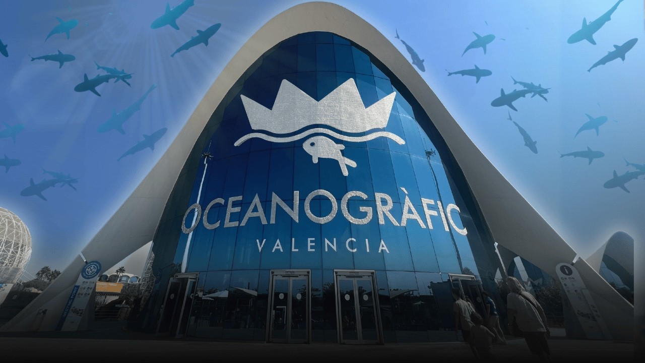 ESTE ES EL ACUARIO MÁS GRANDE DE EUROPA