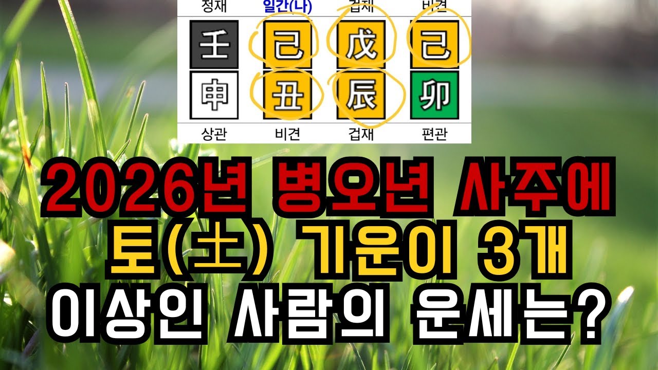 병오년 내 사주에 토 기운이 3개 이상이라면 운세는?