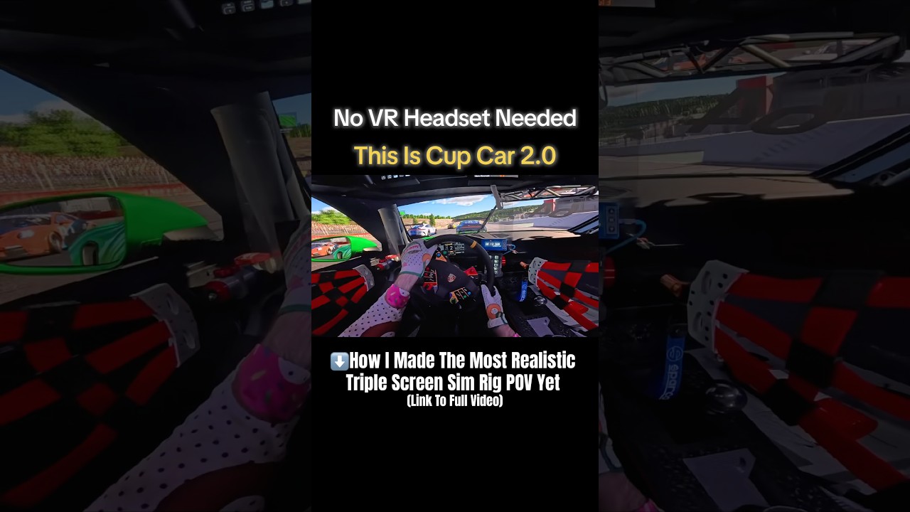 The Most Realistic Sim Rig POV Yet!