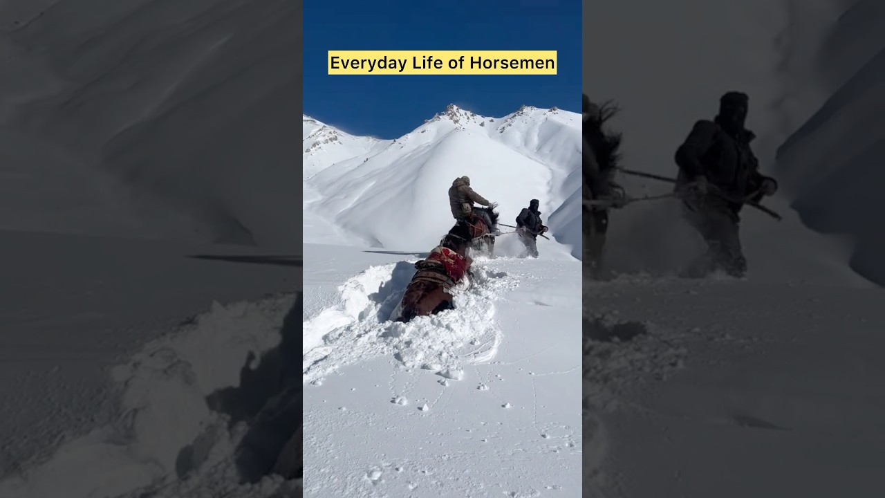 Daily Life of Nomadic Horse Herders