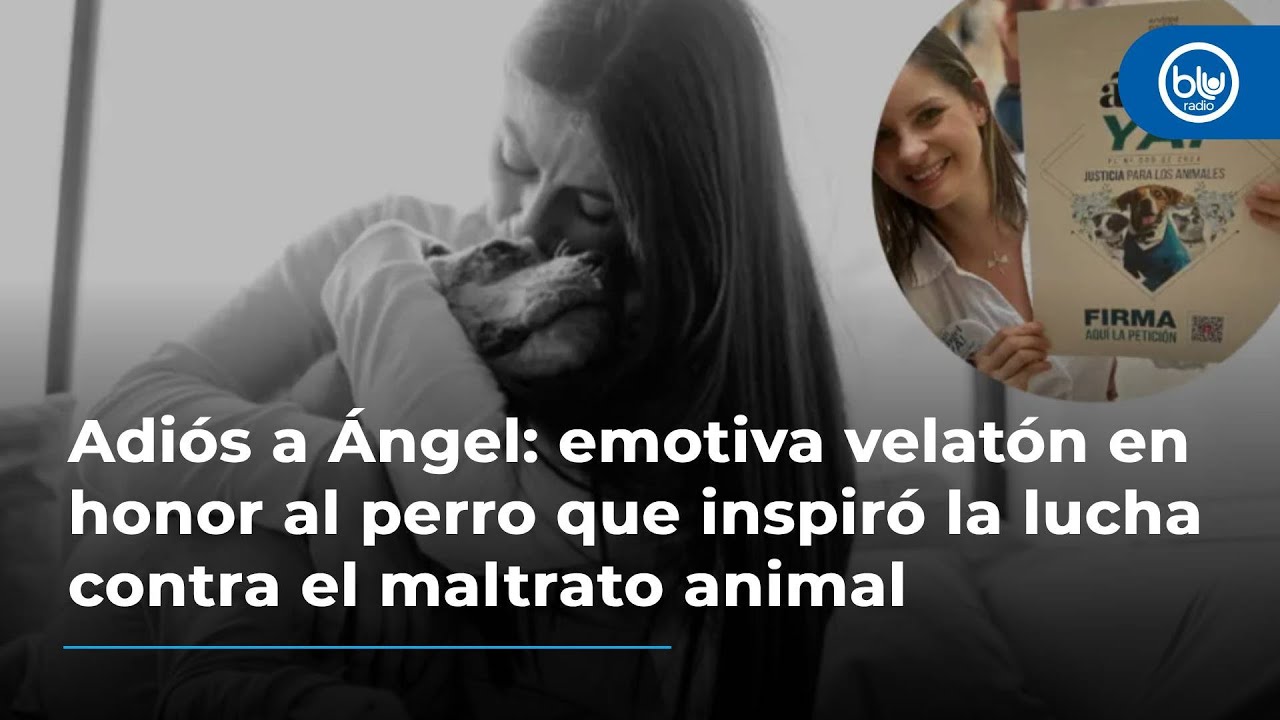 Adiós a Ángel: emotiva velatón en honor al perro que inspiró la lucha contra el maltrato animal