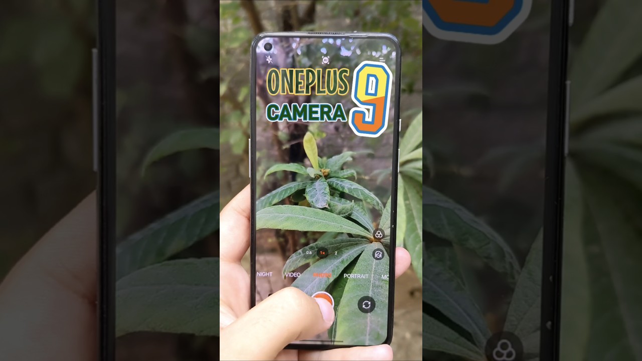 OnePlus 9 Camera Test Review #oneplus9camera #oneplus9cameratest