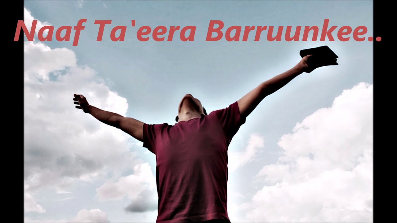 NAAF TA'EERA BARRUUNKEE: MAGARSA TADESE