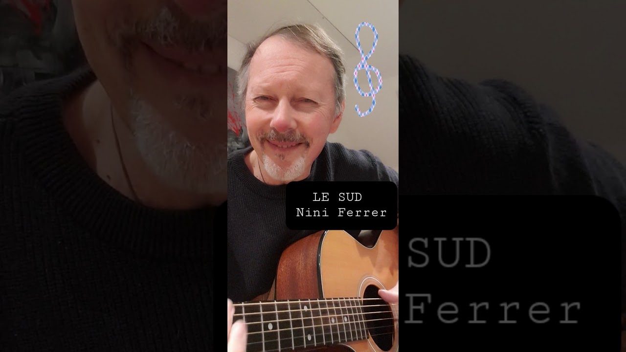LE SUD - Nino Ferrer #guitar #cover #coverguitare #guitarcover