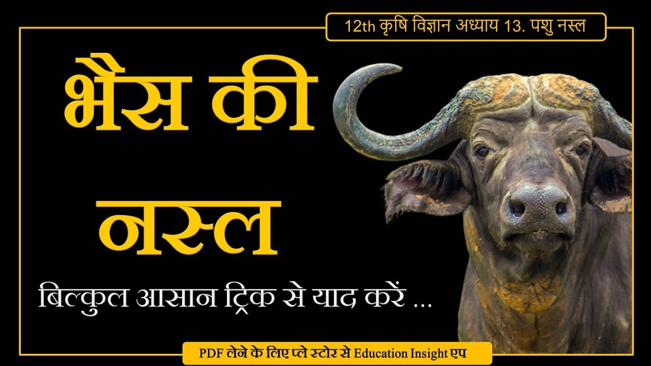 भैस की नस्ल // कृषि विज्ञान अध्याय 13 // Chapter 13 Class 12th Agriculture part 2