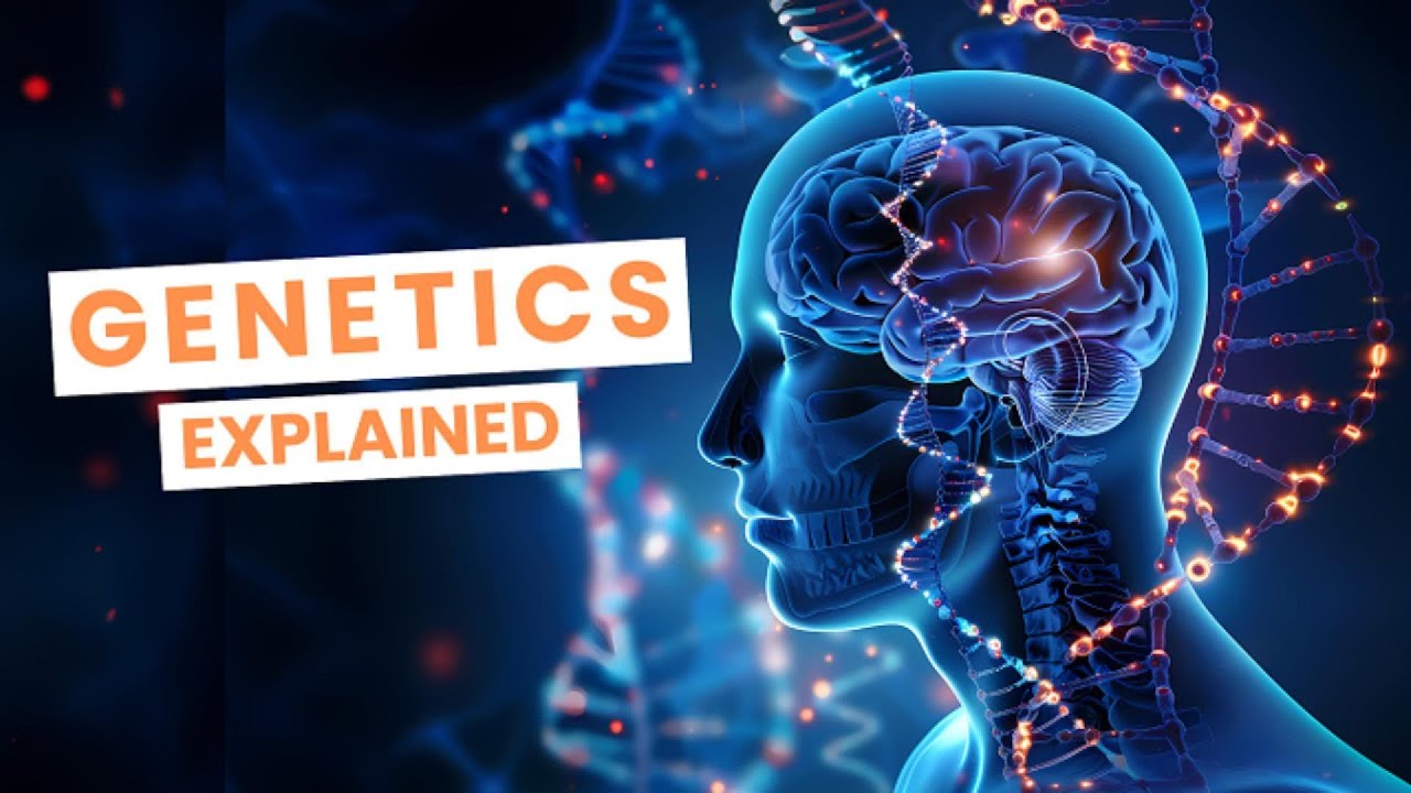 What is Genetics? | DNA, Genes, and Inheritance Explained