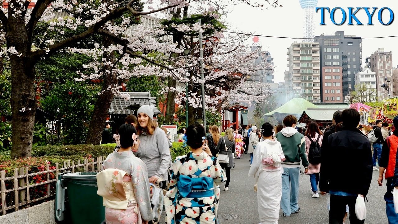 Tokyo Sensoji temple, thousand peaple visit Tokyo city at spring  |【浅草神社】| #explorejapan #japan #4k