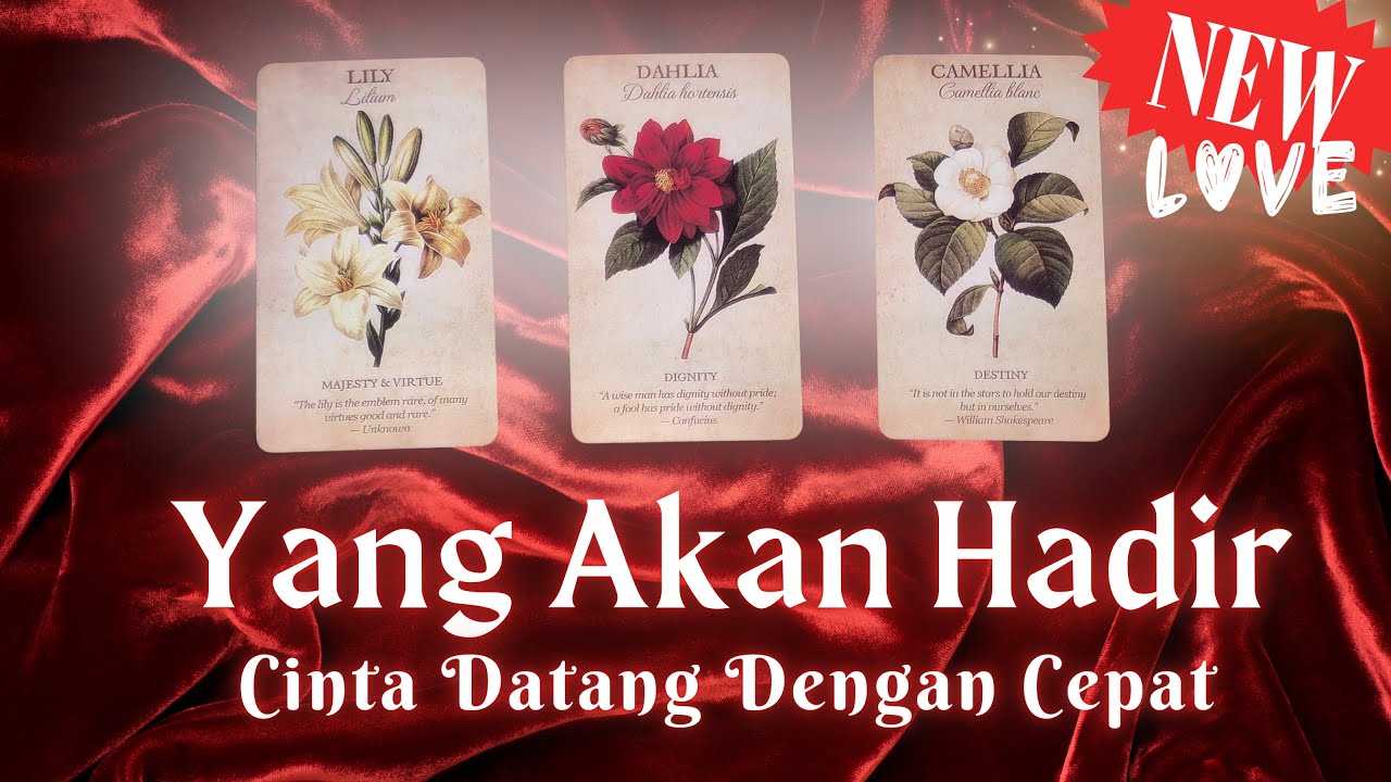 Dia segera hadir 💘 PICK A CARD TAROT #mahamagia