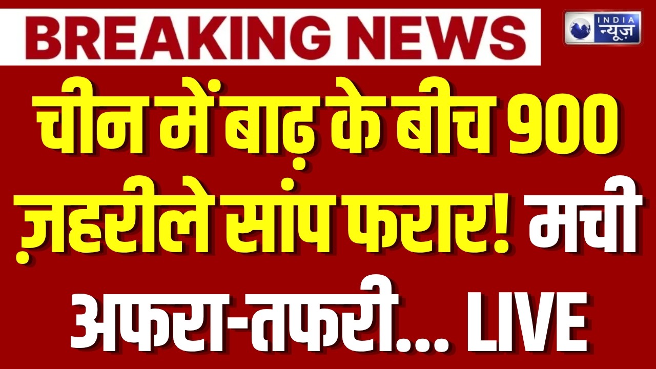China Cobra Escape: कोबरा का खौफ! बाढ़ के बाद चीन में 900 जहरीले सांप लापता | Breaking News