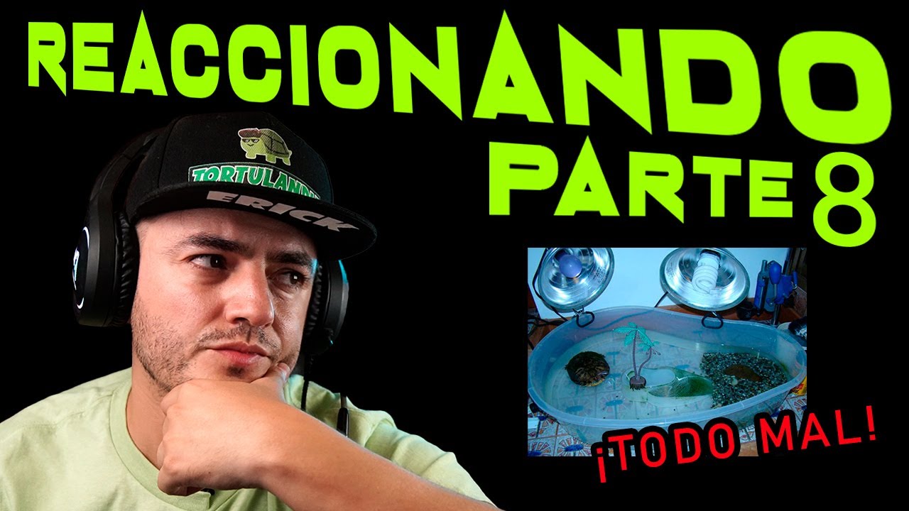 REACCIONANDO A HABITATS PARTE 8