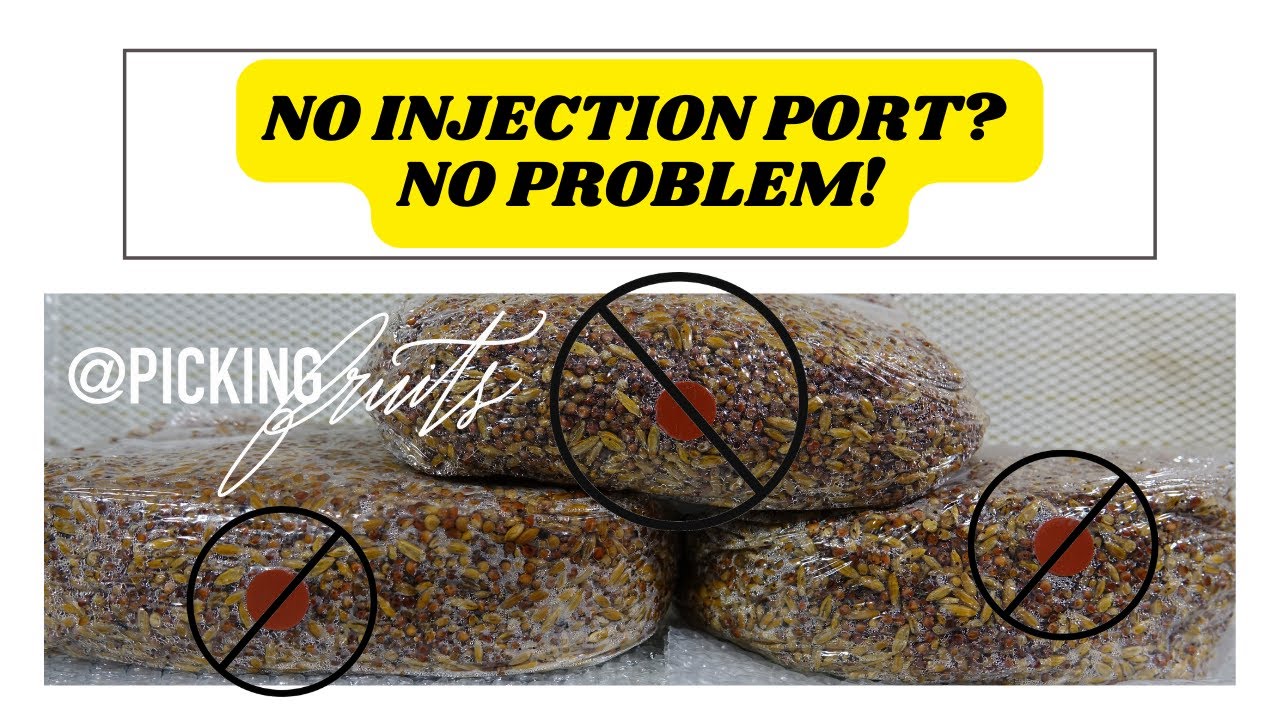 How to Grow Mushrooms: Inoculating without an Injection Port