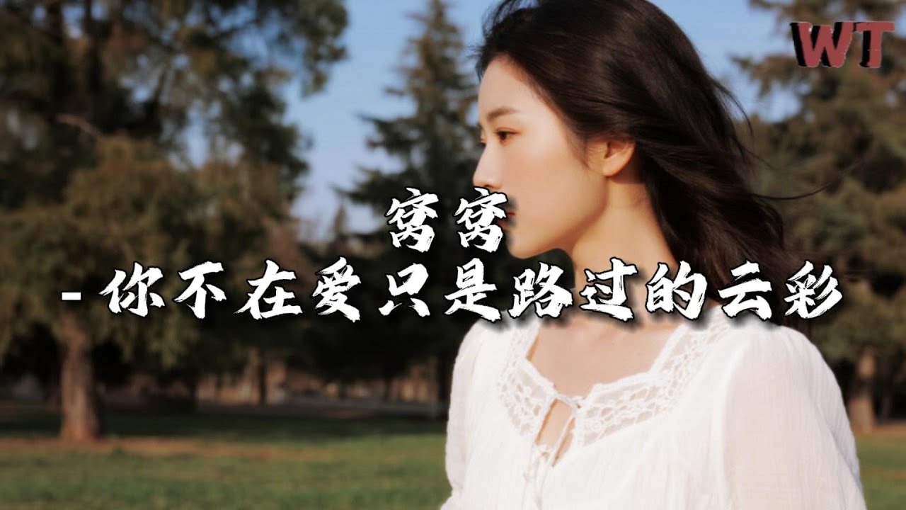 窝窝 - 你不在爱只是路过的云彩『天之外一颗心碎正坠入云海，你不在爱只是路过的云彩。』【动态歌词MV】