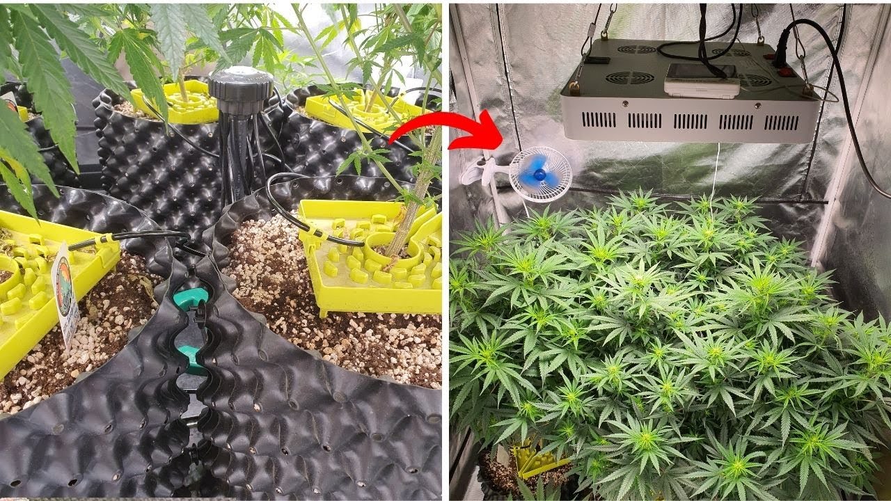 Equipamentos para CULTIVO INDOOR avan&ccedil;ado