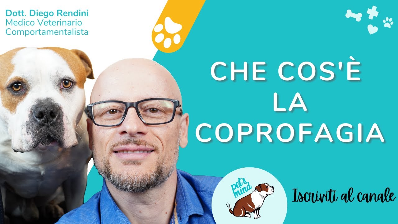 La Coprofagia (il cane che mangia le feci)
