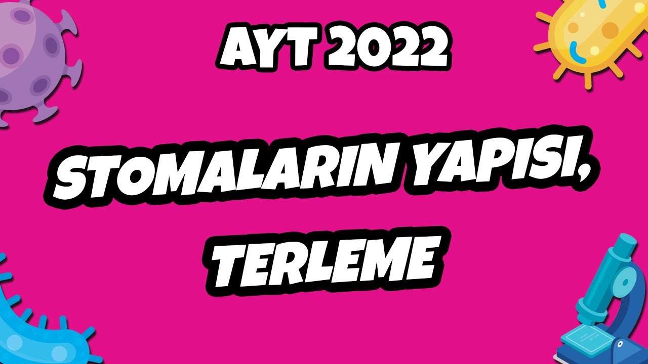 AYT Biyoloji - Stomaların Yapısı, Terleme | AYT Biyoloji 2022 #hedefekoş