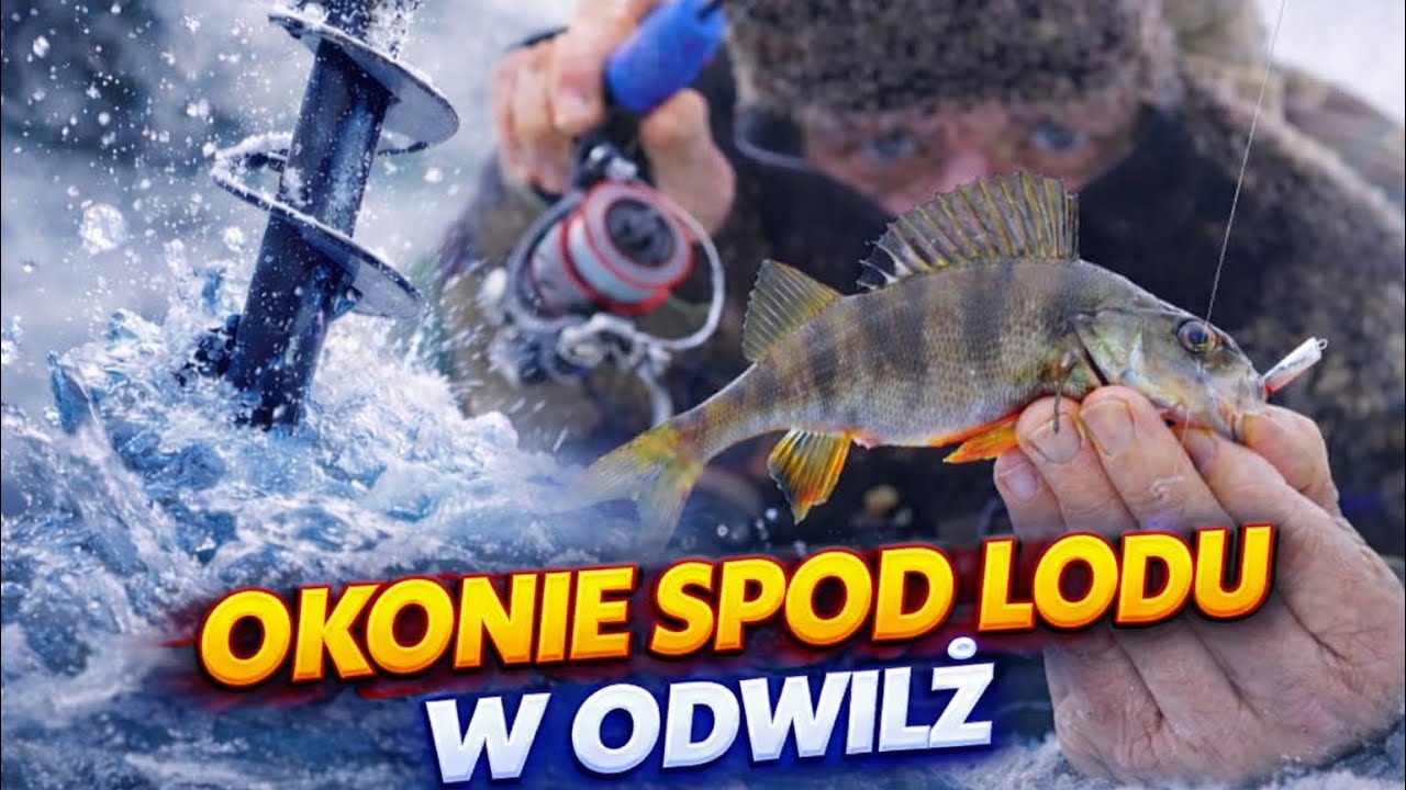 OKONIE SPOD LODU W ODWILŻ NA BLASZKĘ i bonus na koniec
