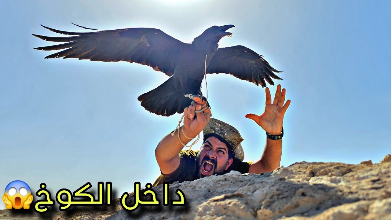 😱 مشهد نادر جداً لصيد داخل الكوخ!!#الجزء_الثالث 