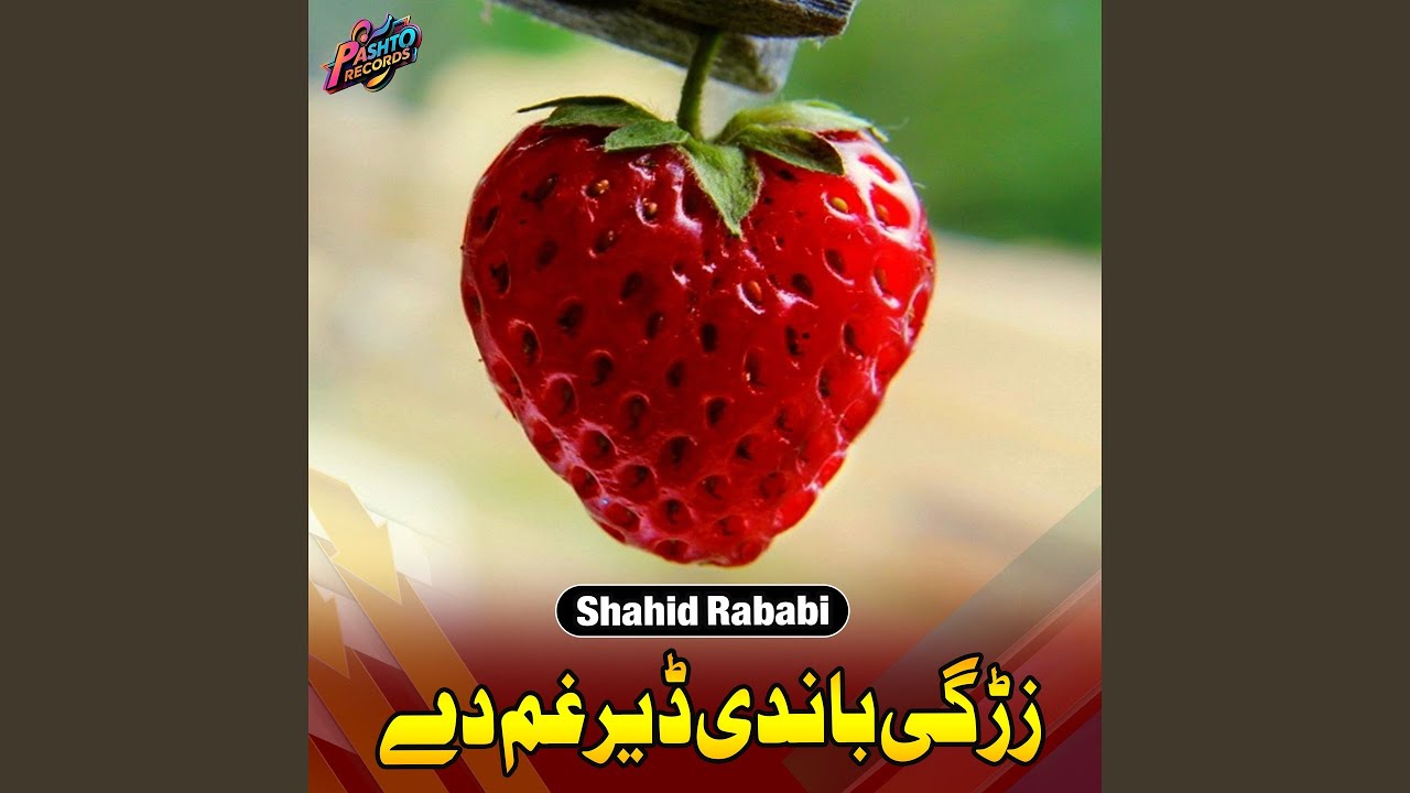 زڑگی باندی ڈ یر غم دے