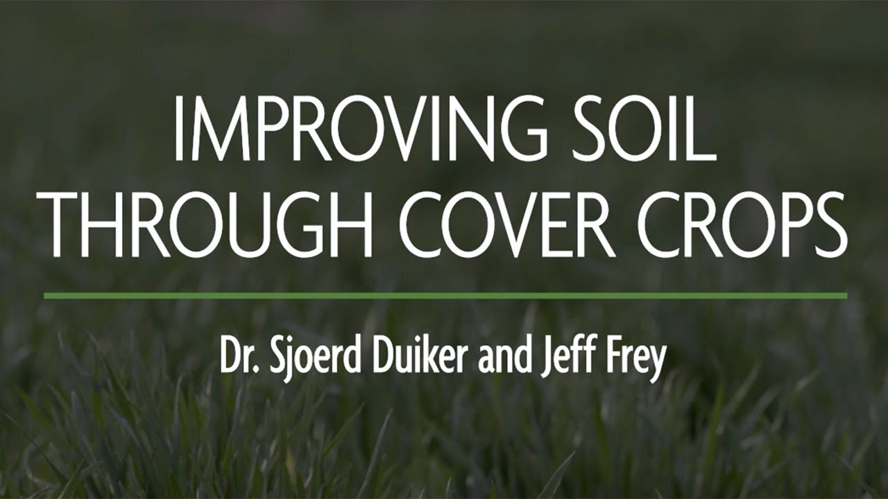 Improving Soil Through Cover Crops