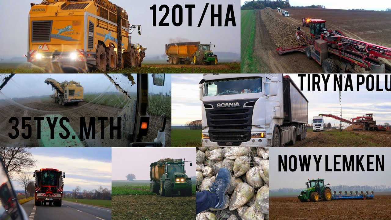 Wielkie kopanie buraka | John Deere | ROPA TIGER6S | Załadunek na ciężarówki  | Zalesie Śląskie