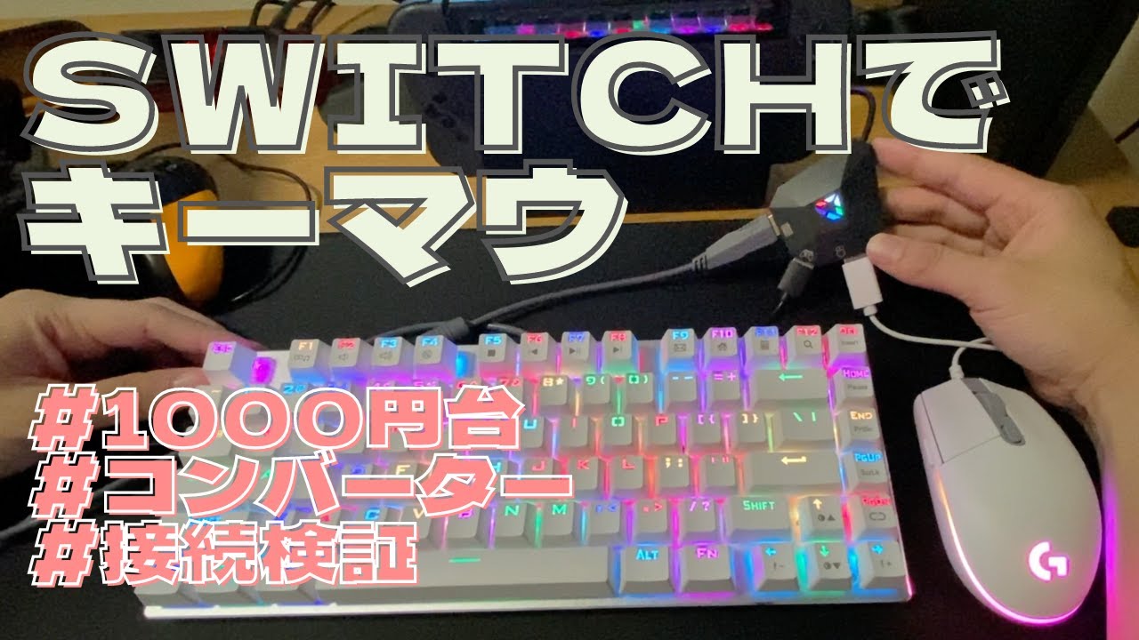 簡単で安い！Switchでキーマウを使う方法【ゲーミングキーボード／ゲーミングマウス】